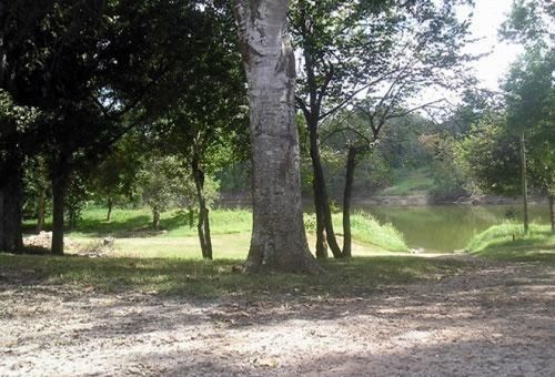 Colorado River Rv Campground コロンバス エクステリア 写真
